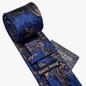 Barry.Wang Men's Blue Gold Paisley Neck Tie